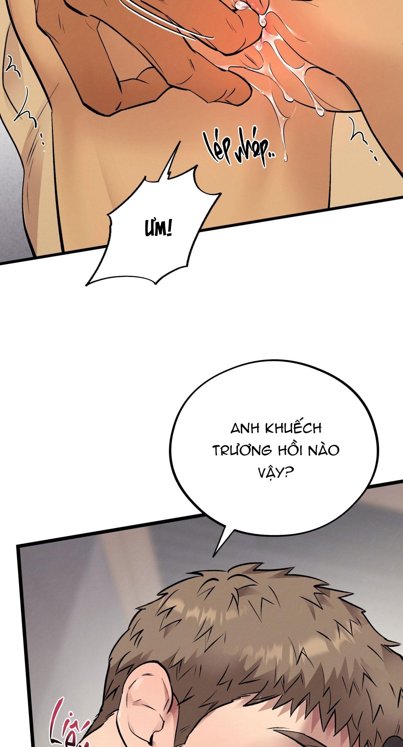 HONEY BEAR Chapter 65 - Next 