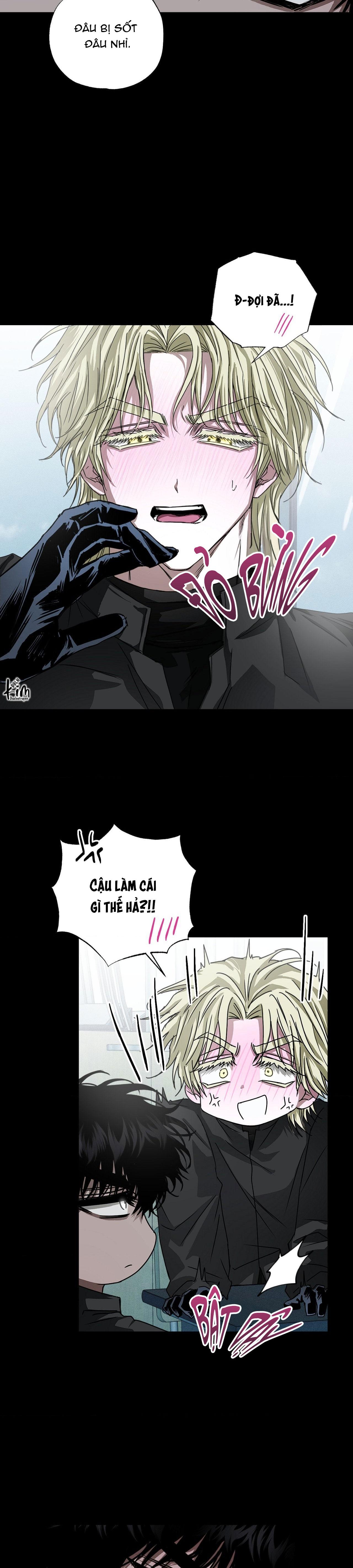 MẮT BÃO Chapter 12 - Next 