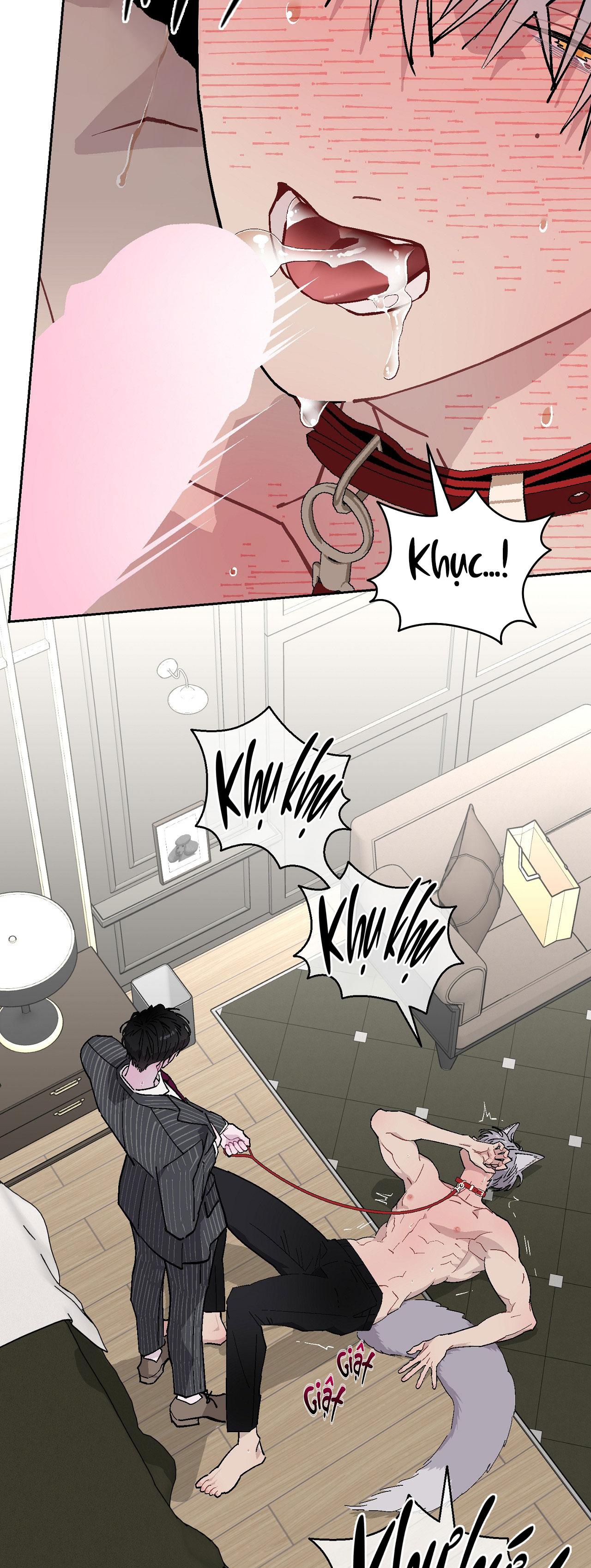 GUIDE ESPER NGẮN Chapter 4.7 esperđịnhmệnhnt - Next Chapter 4.8 esperđịnhmệnhnt