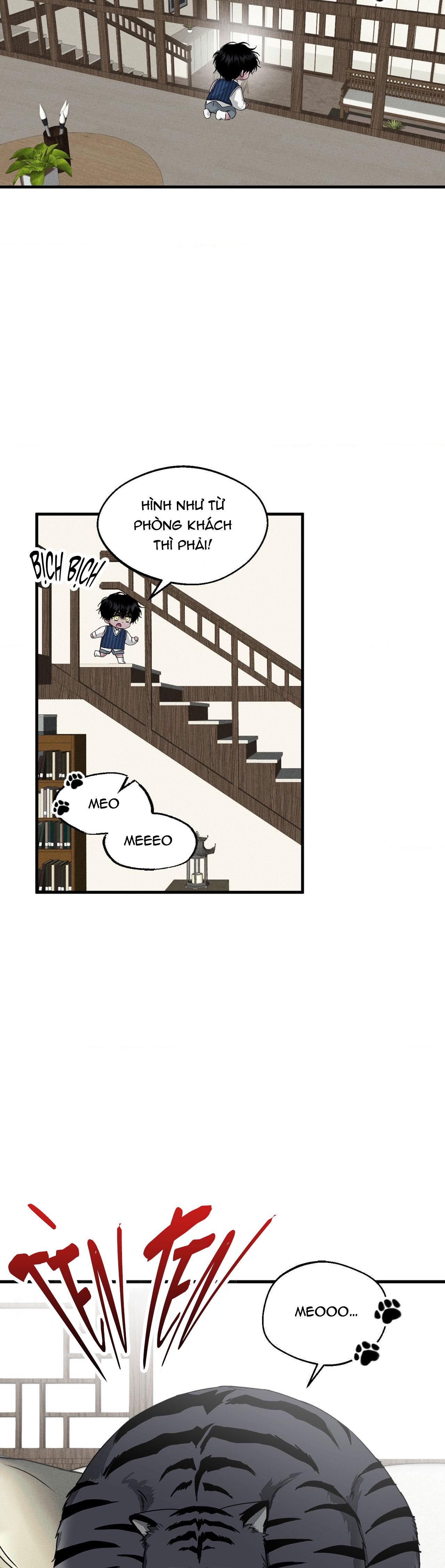 MẮT BÃO Chapter 13 - Next Chapter 14