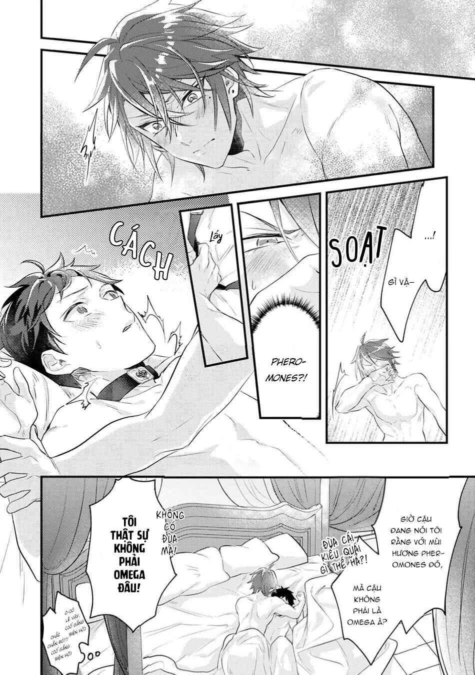 Thứ duy nhất tôi không muốn trở thành chính là Omega!! Chapter 5 - Next 