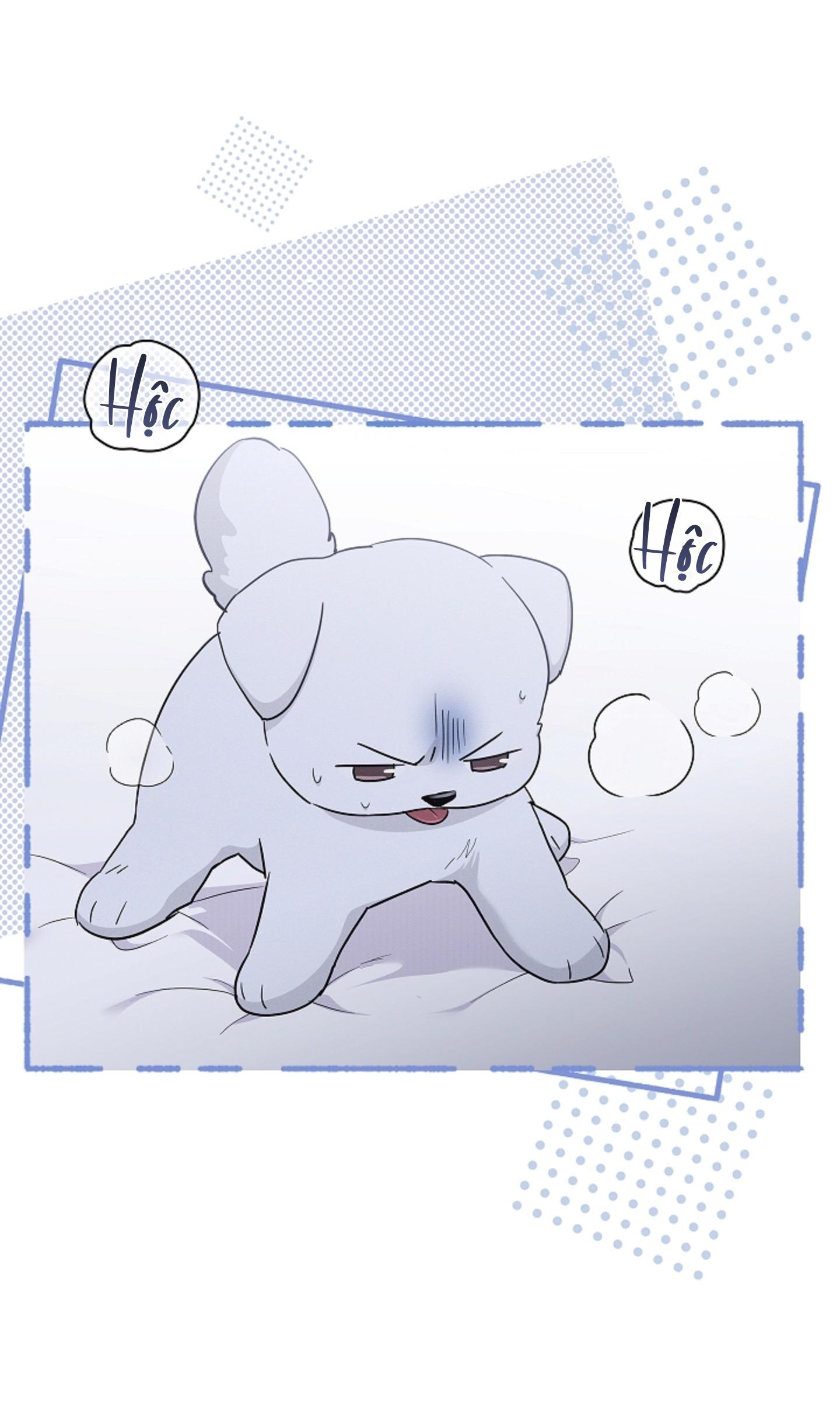 ĐỪNG ĐỘNG VÀO CÚN CON! Chapter 44.05 - Next 