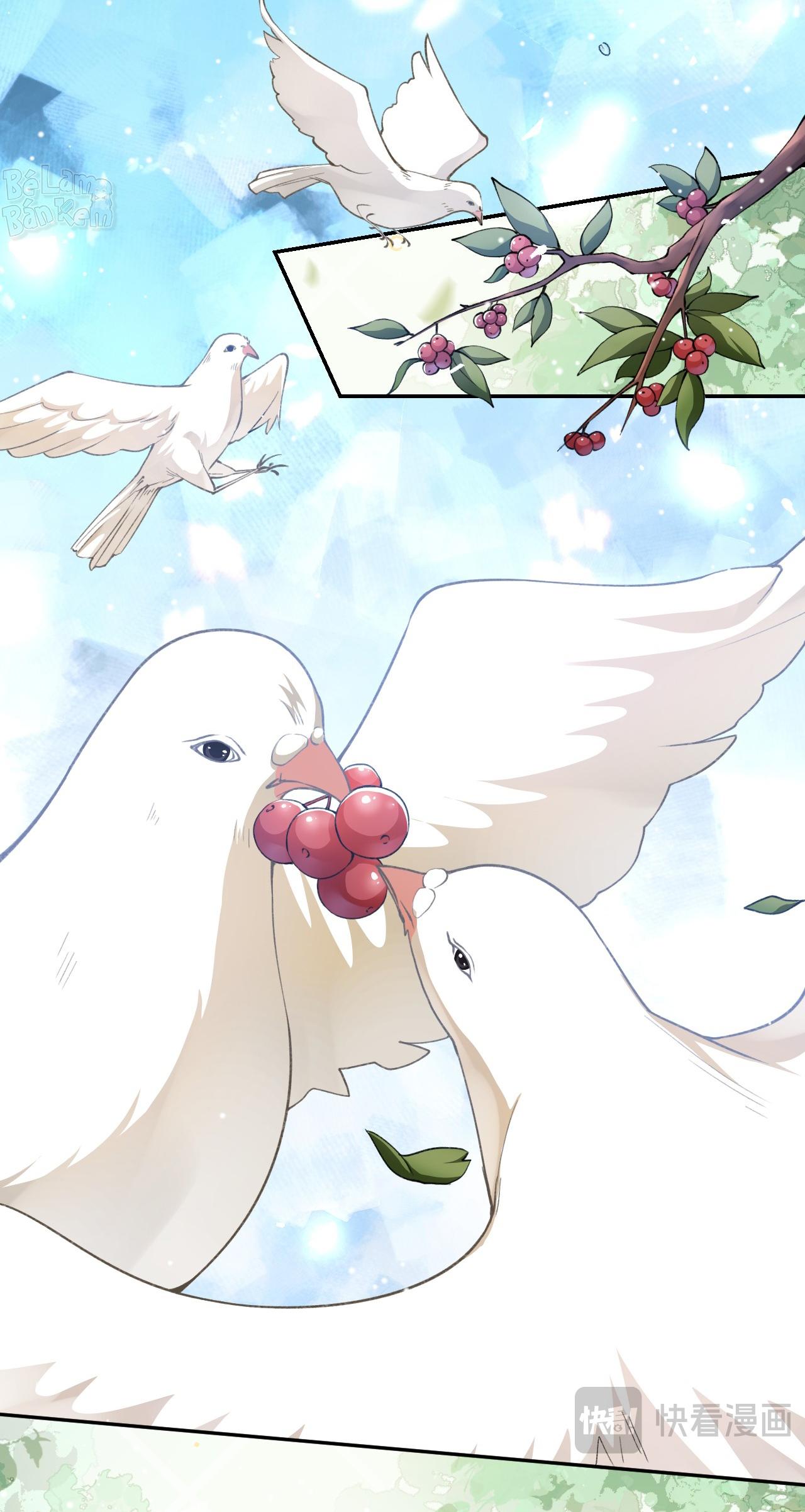 Quan hệ thế thân Chapter 222 - Next Chapter 223