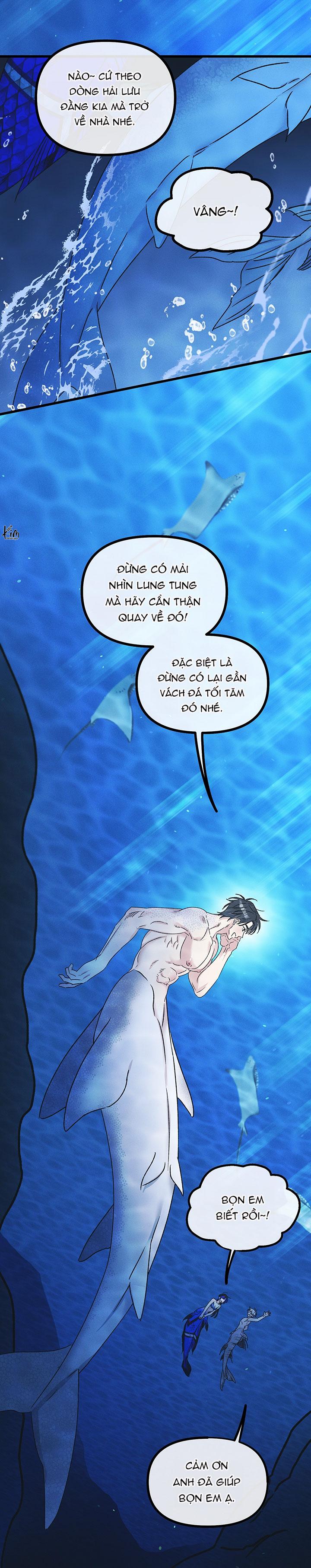 Mermaid's Cradle Chapter 1 - Next 