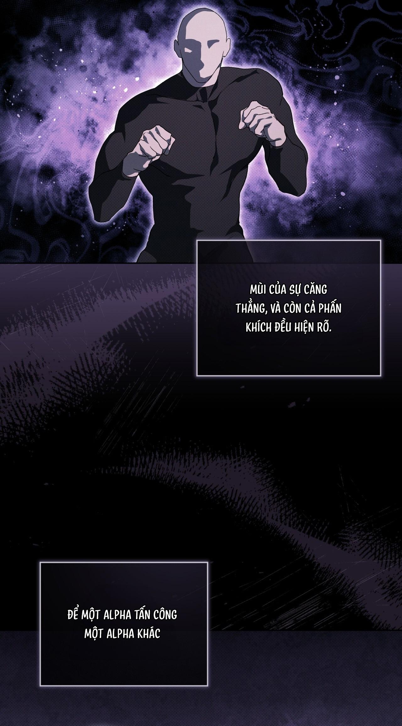 HÌNH THÁI TIẾN HÓA Chapter 13 - Next 