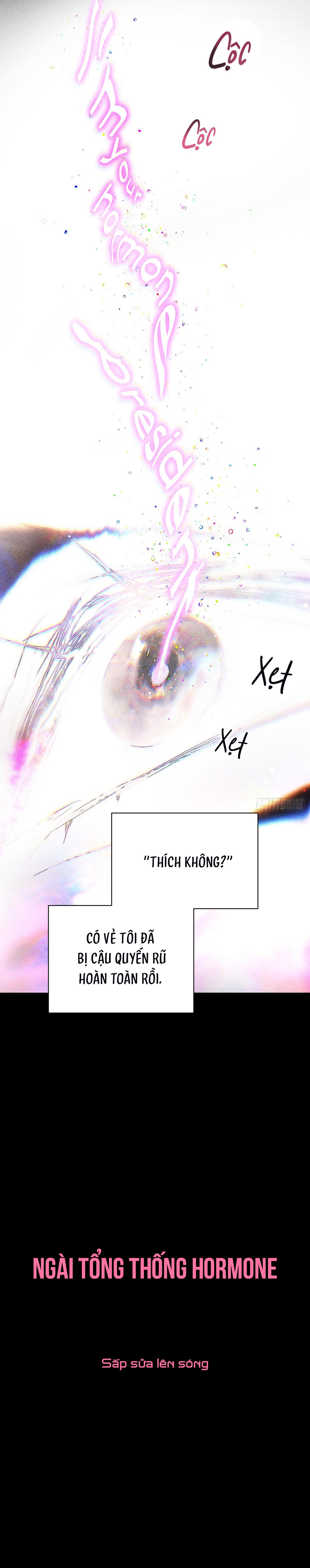 Ngài Tổng Thống Hormone Chapter 0 - Trang 2