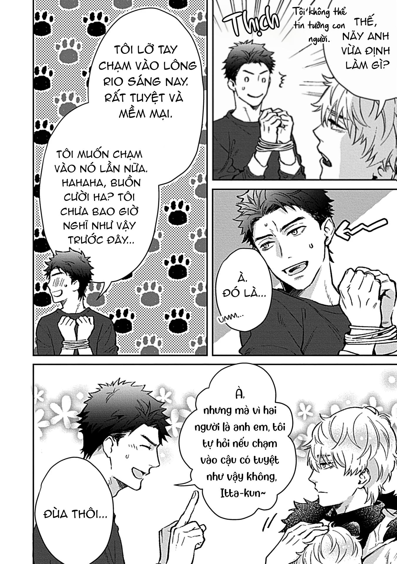 Trở Thành Một Gia Đình Cùng Hai Anh Em Tanuki Chapter 2 - Trang 2
