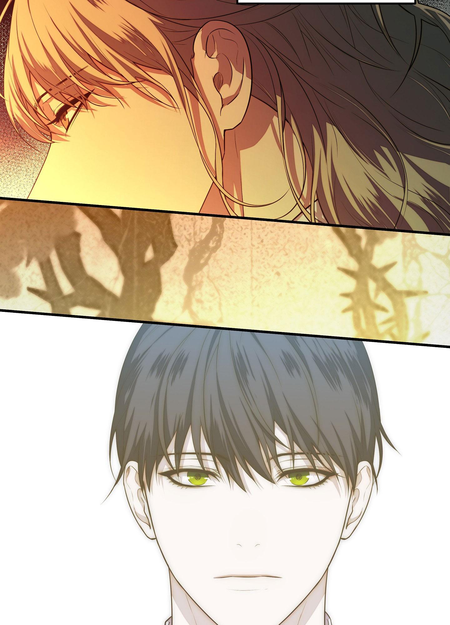 Hỗn Mộng Chapter 43 - Next Chapter 44