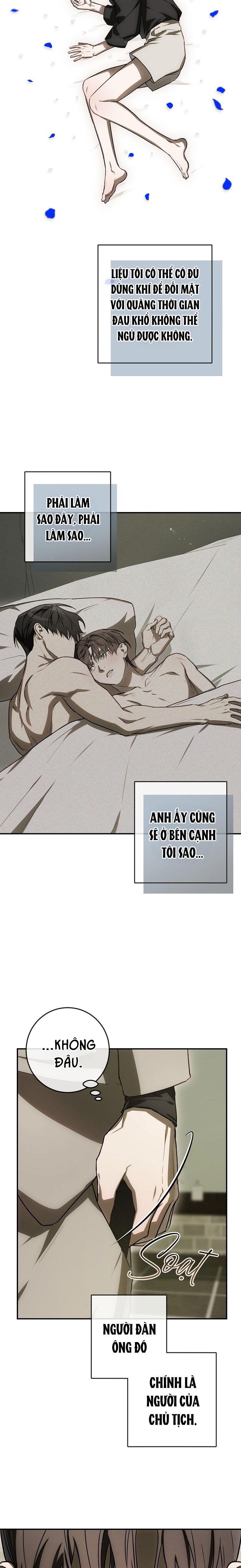 BẢO VẬT Chapter 35 - Trang 2