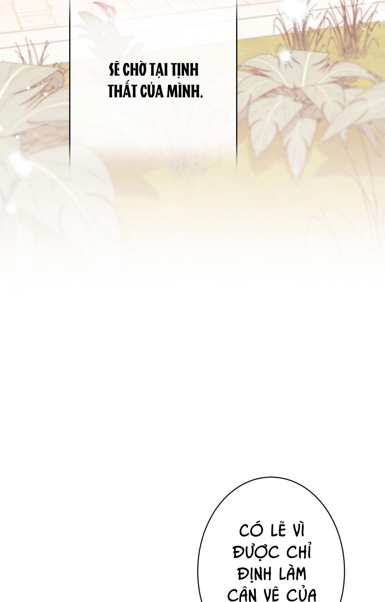 RẮN NUỐT LỰU Chapter 22 - Next 