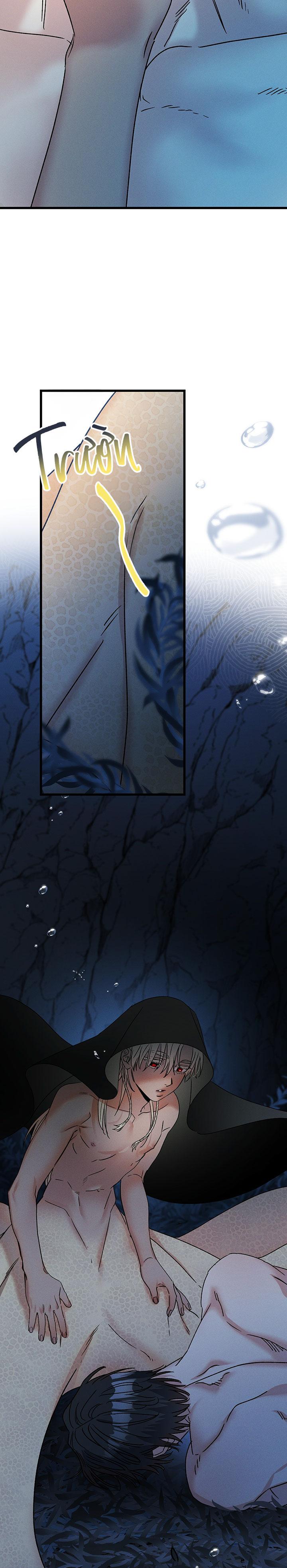 Mermaid's Cradle Chapter 2 - Next 