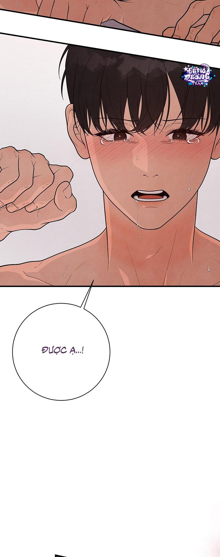 [DDT] HƯƠNG VỊ TÌNH THÂN Chapter 15 19+ - Trang 2