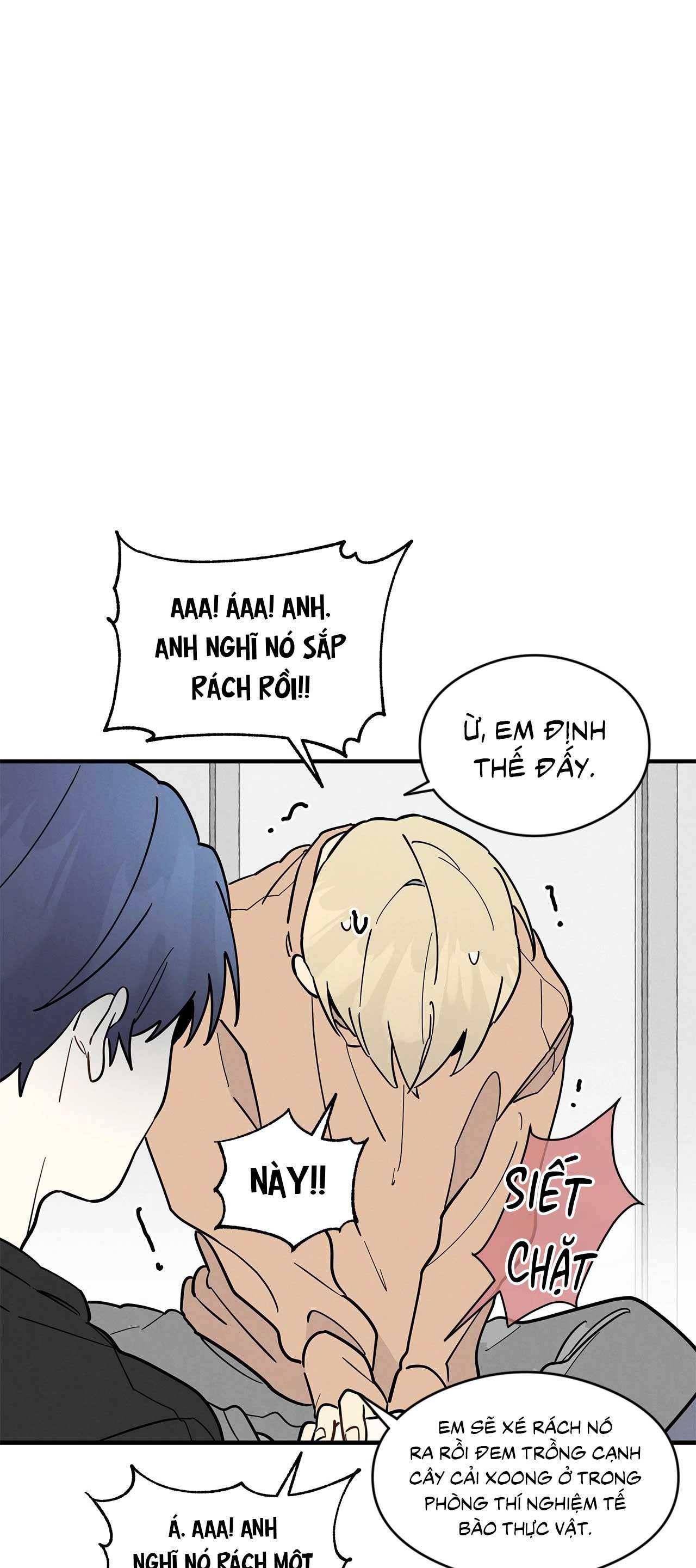 One-Room TA Chapter 25 H nát chuối - Next 