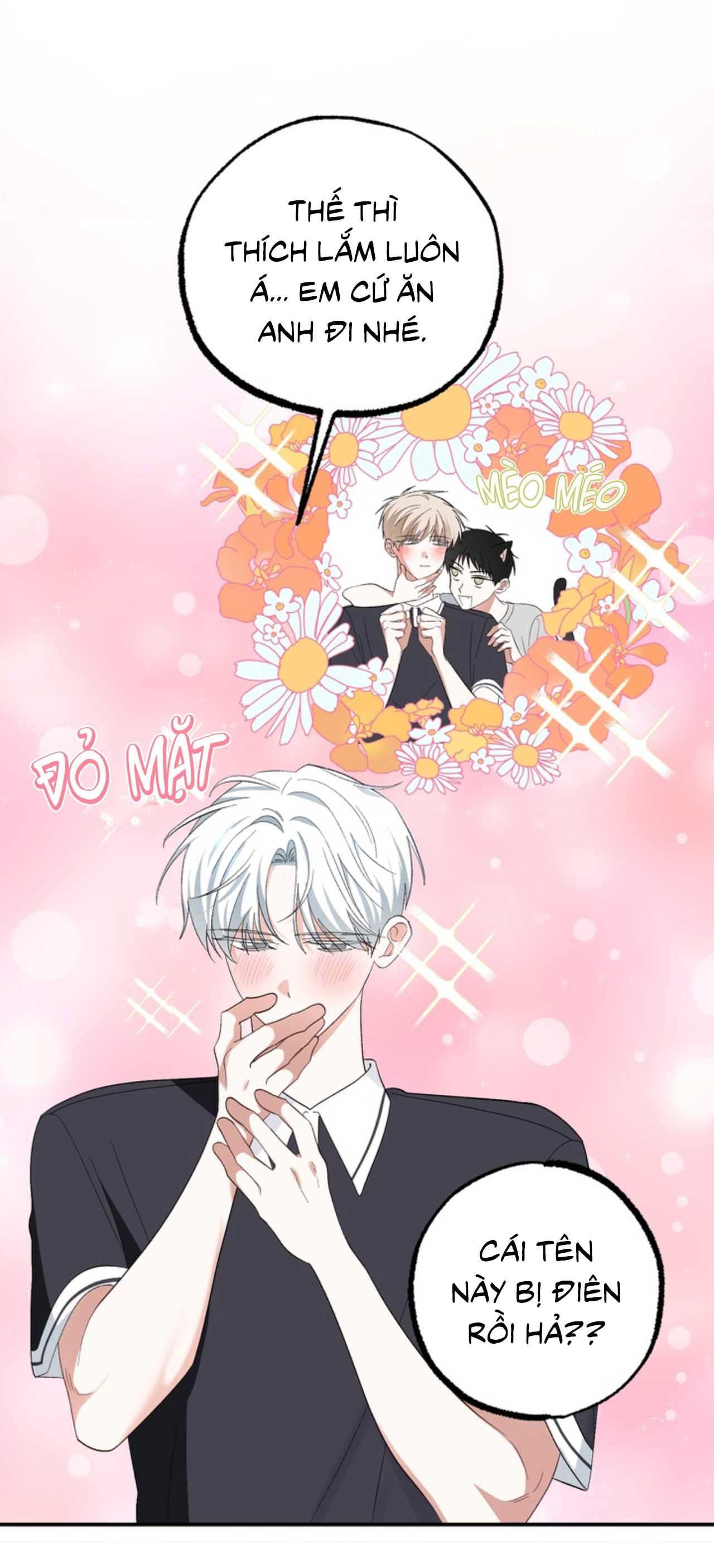 XIN HÃY YÊU THƯƠNG DÙ TÔI LÀ CHUỘT Chapter 4 - Trang 2