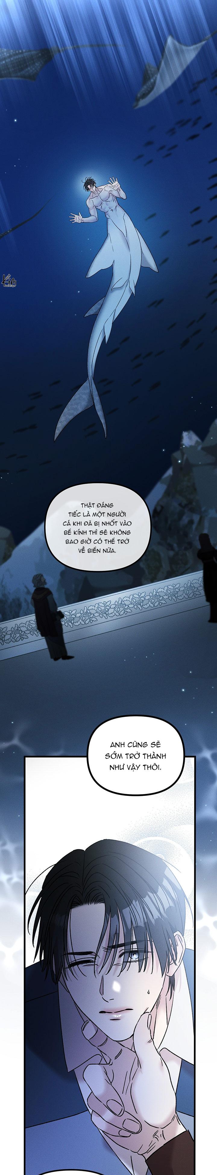 Mermaid's Cradle Chapter 10 - Next Chapter 11