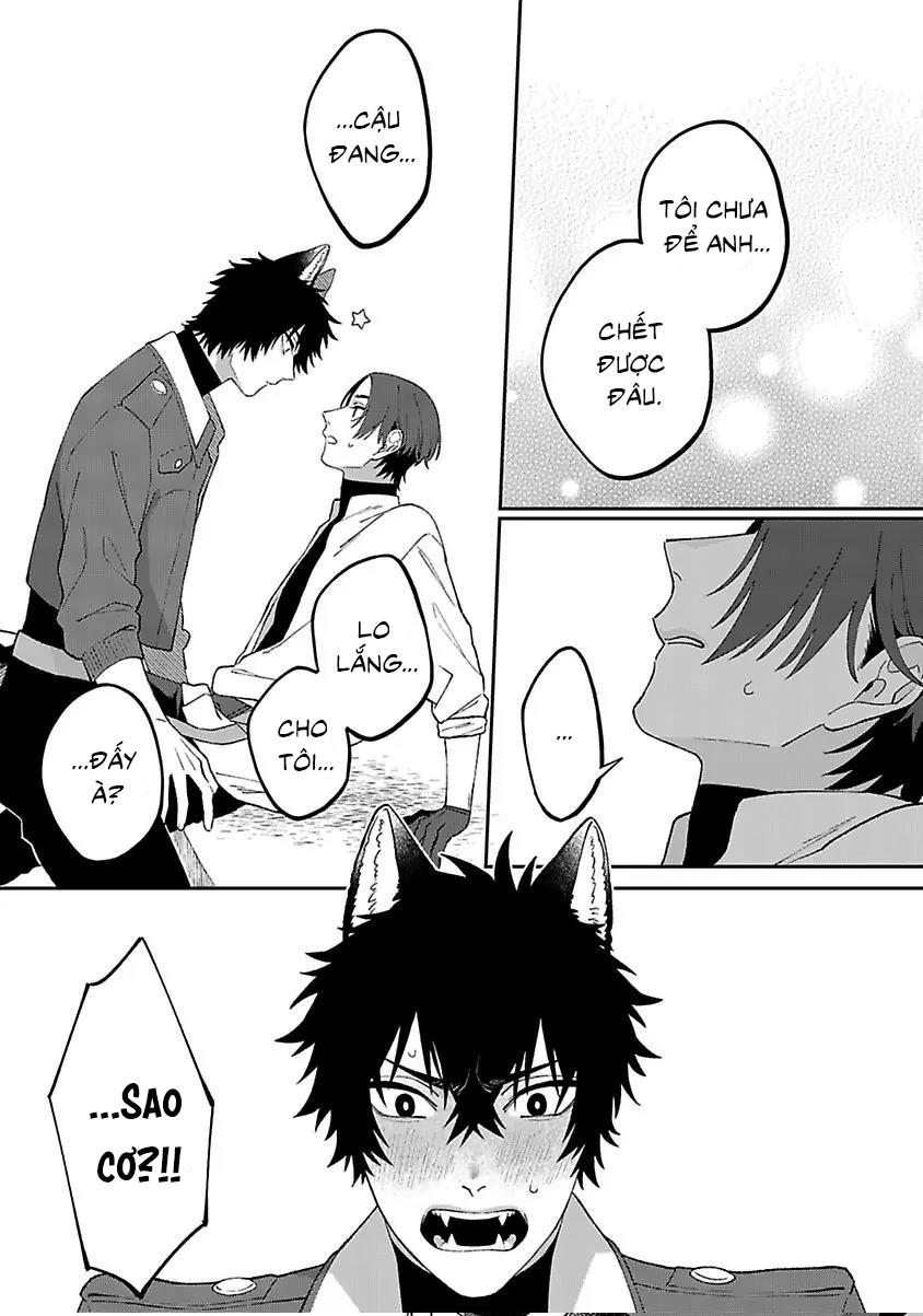 Hai Chú Chó Rắc Rối Chapter 4 - Next 