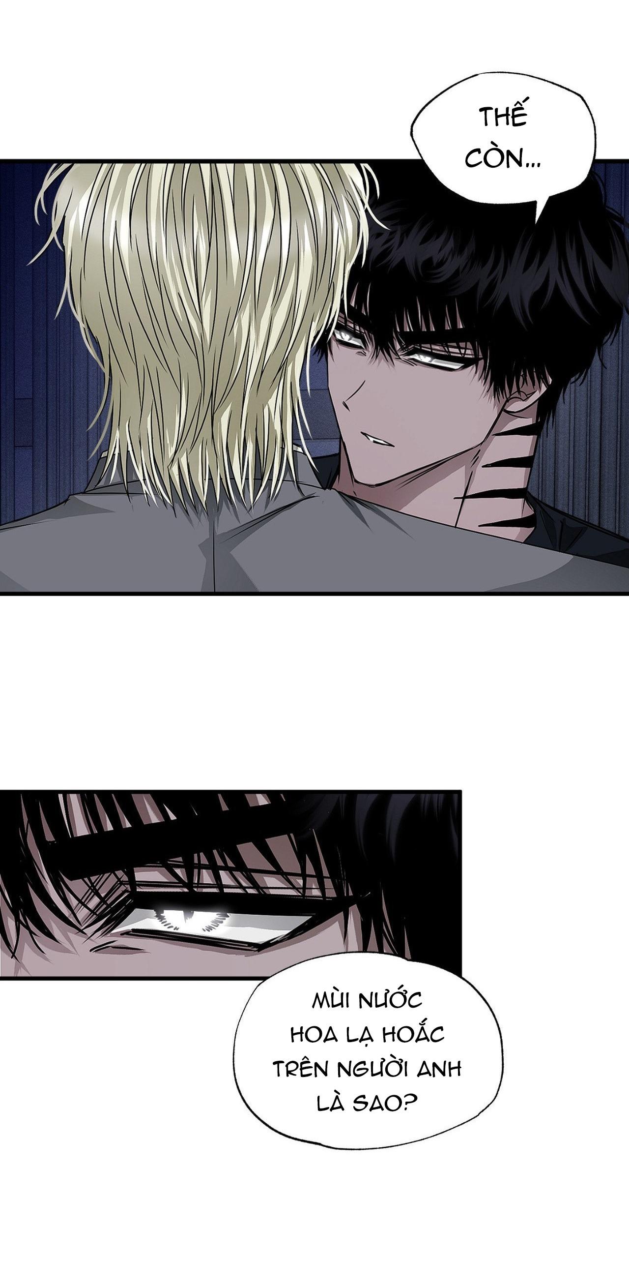 MẮT BÃO Chapter 20 - Next 