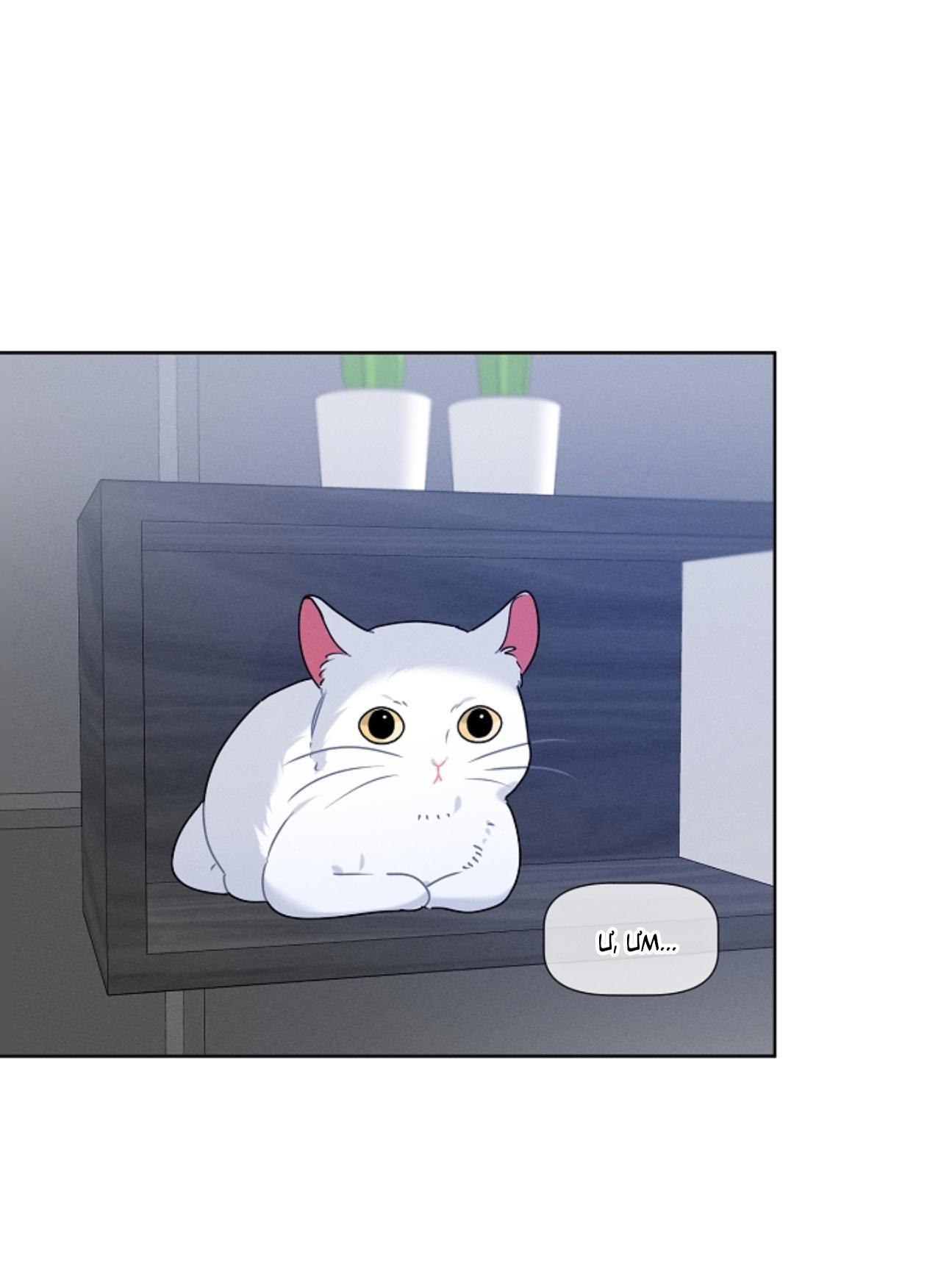 Tố Cáo Sếp Tôi Chapter 34 - Next Chapter 35