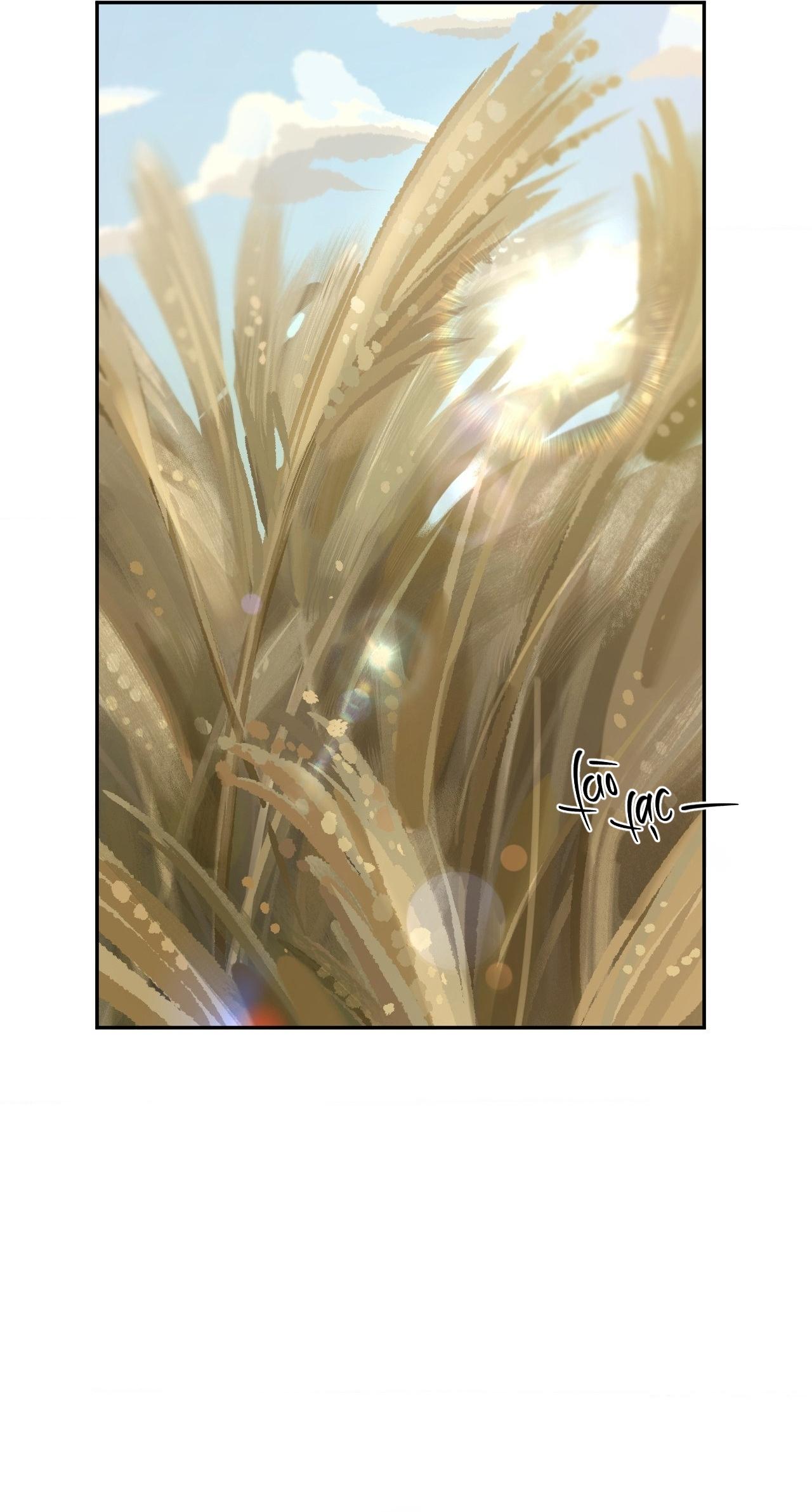 (GĐCV) SA NGÃ Chapter 6 - Next Chapter 7 H