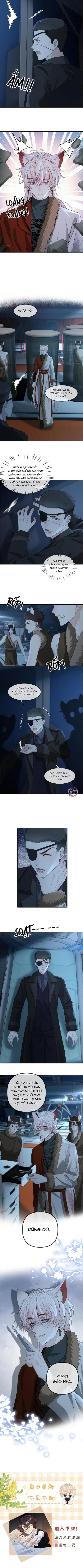 Khát Vọng Ngọt Ngào Chapter 435 - Trang 2