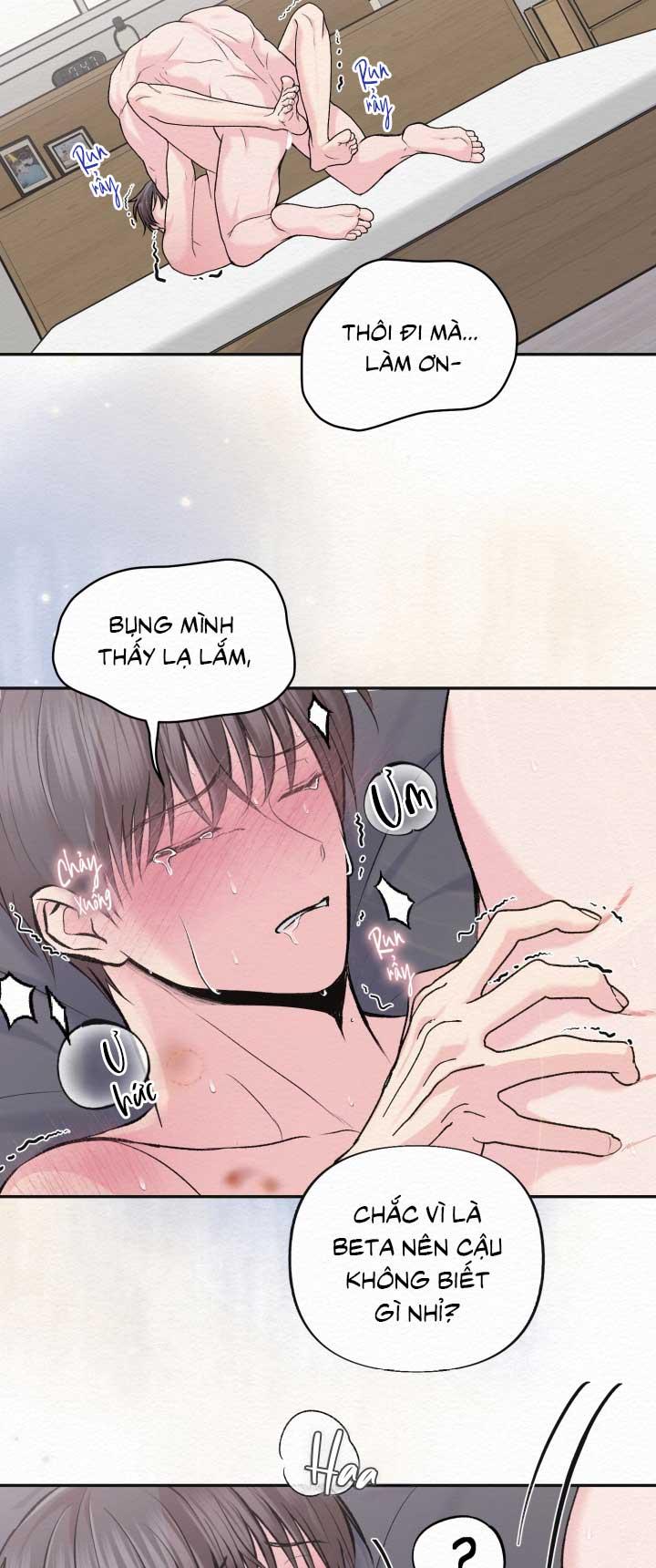 HƯƠNG XƯA Chapter 14 - Next 