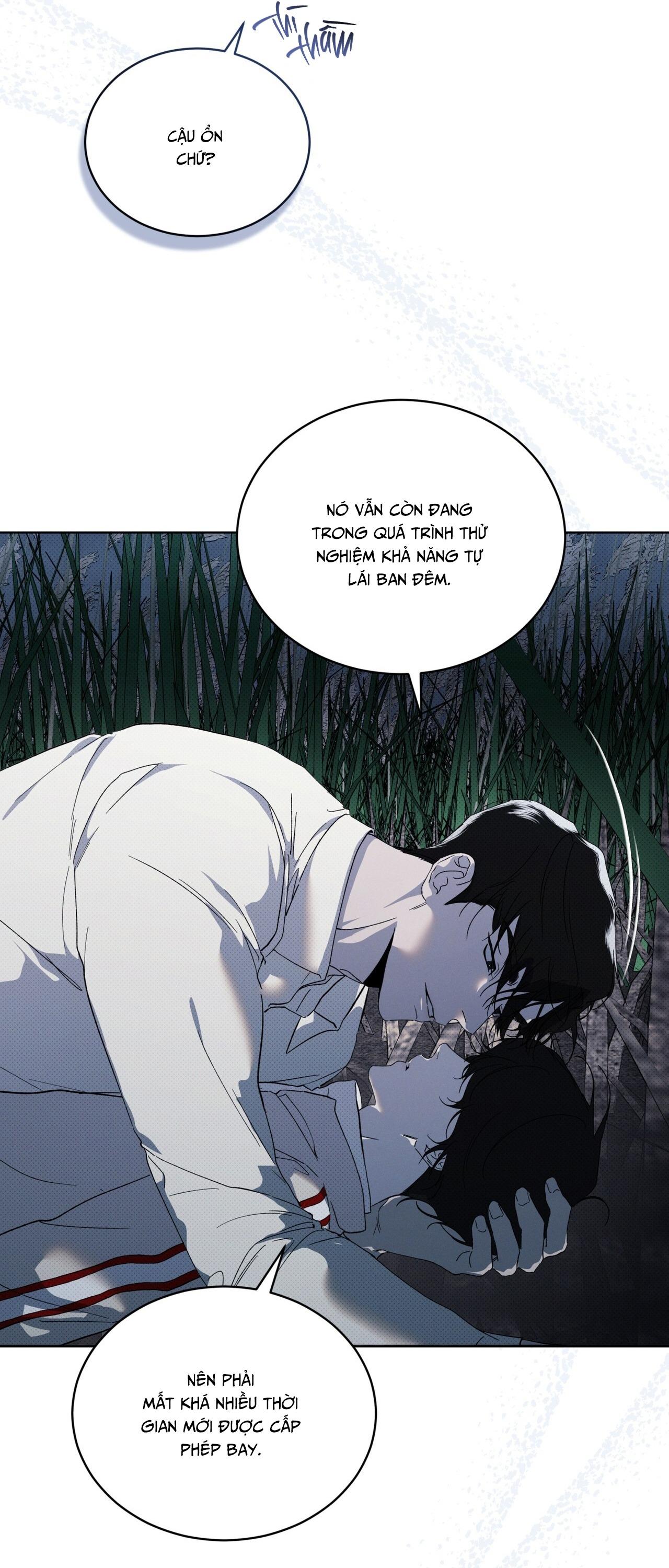 HÌNH THÁI TIẾN HÓA Chapter 13 - Next 