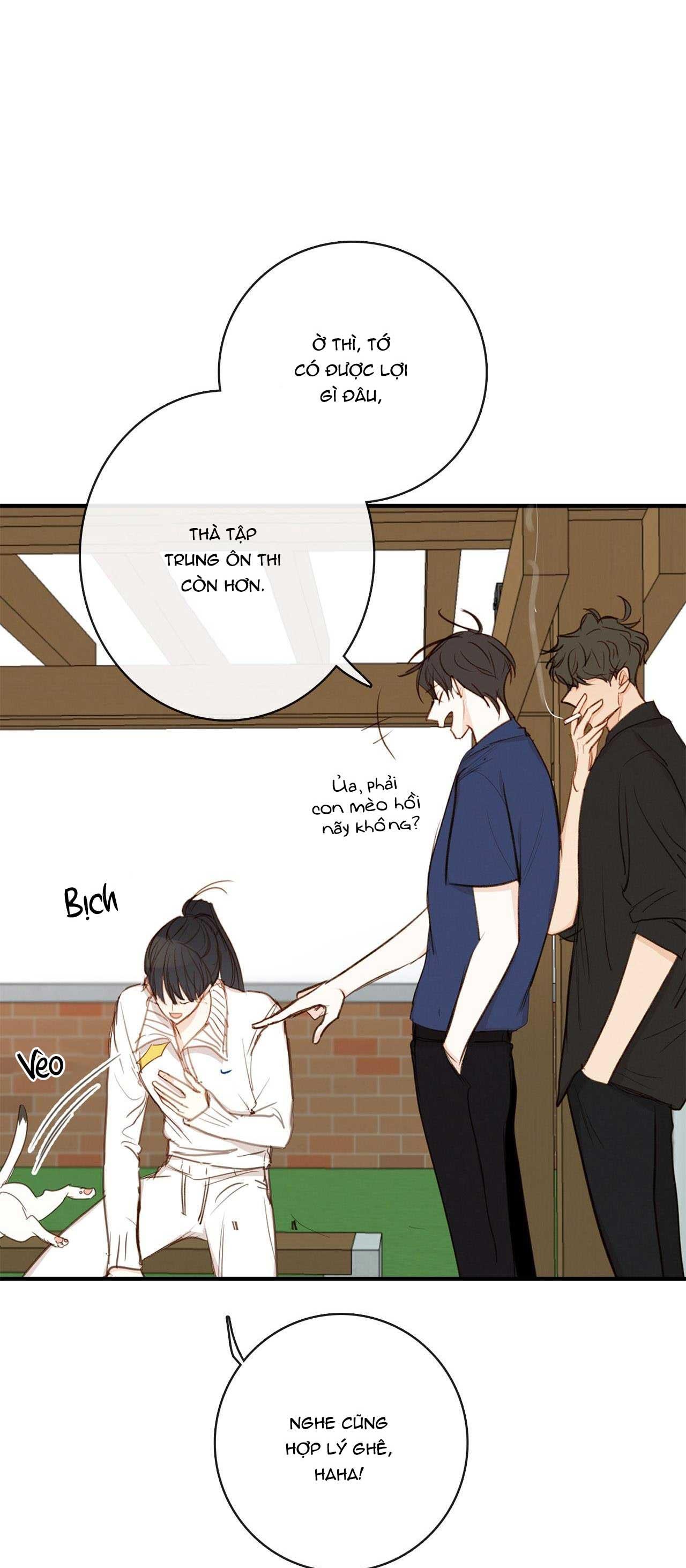 Thiên Đường Táo Xanh Chapter 115 - Next 