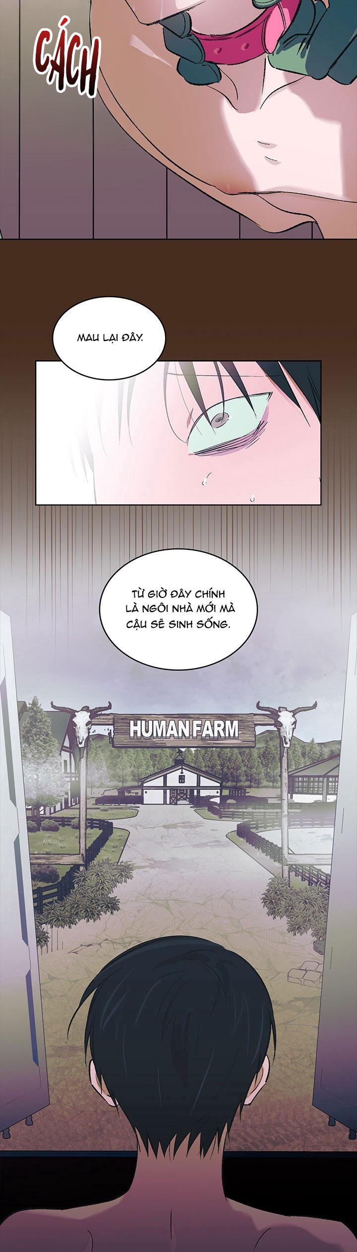 THÚ CƯNG DAMDANG Chapter 8 preview - Trang 2