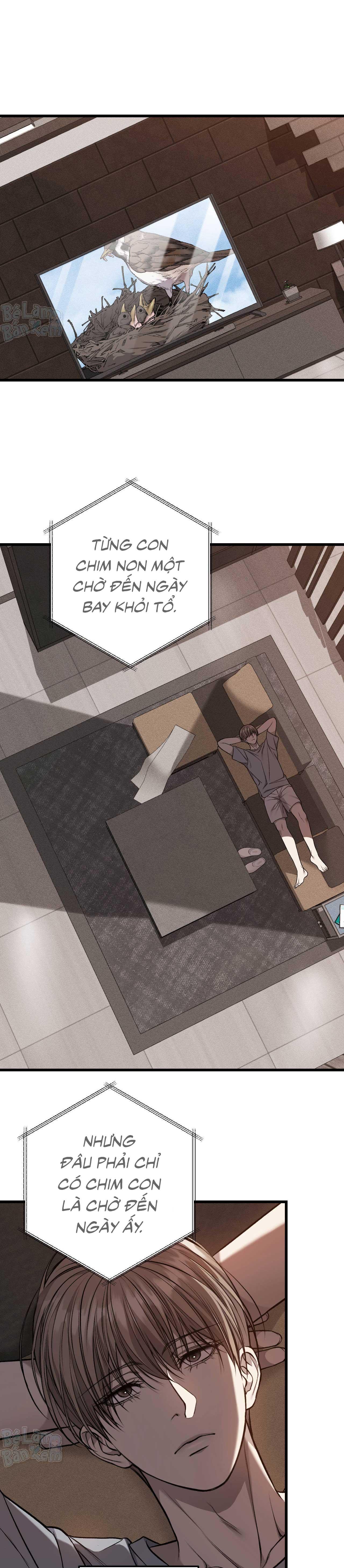 XX ĐÊ TIỆN Chapter 61 - Next Chapter 62