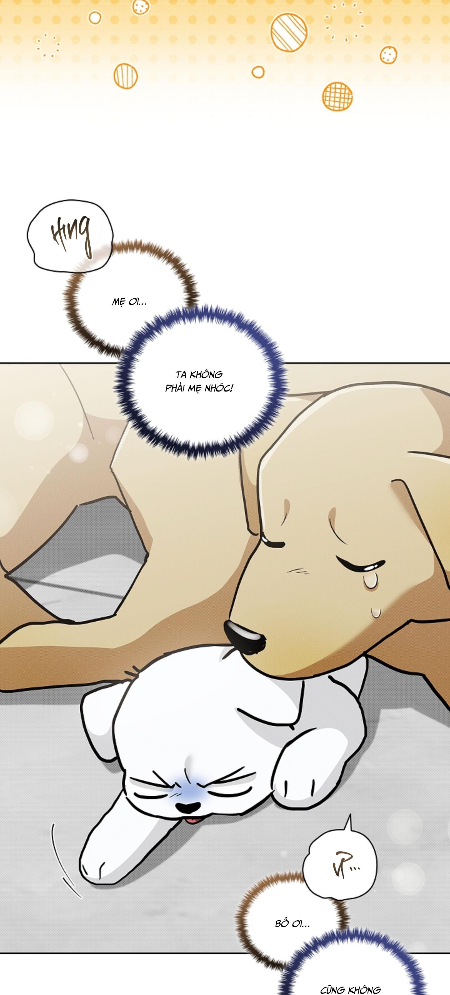 ĐỪNG CHẠM VÀO CÚN CON CỦA TÔI Chapter 47 NT 3 - Next 