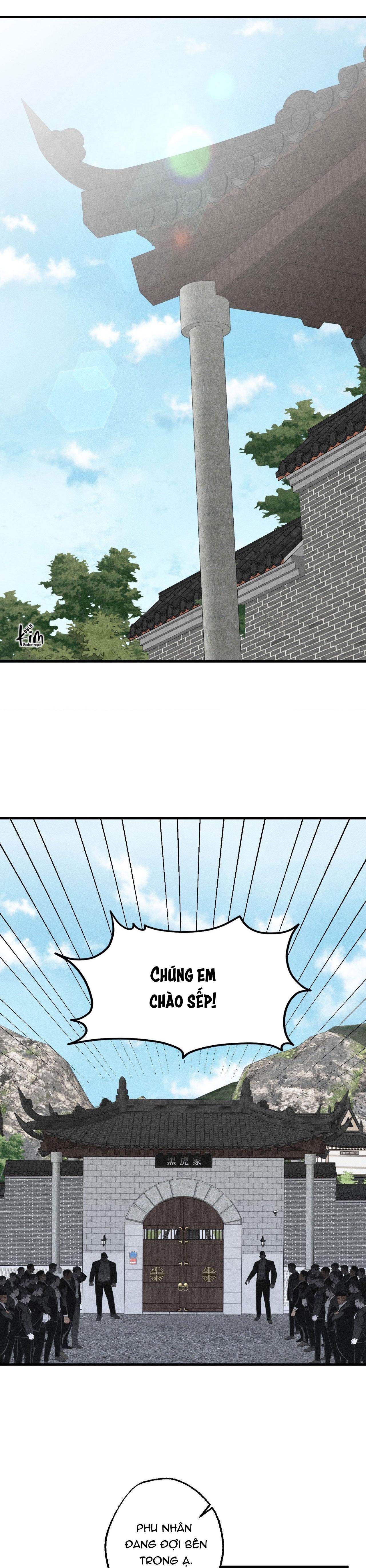 MẮT BÃO Chapter 12 - Next 