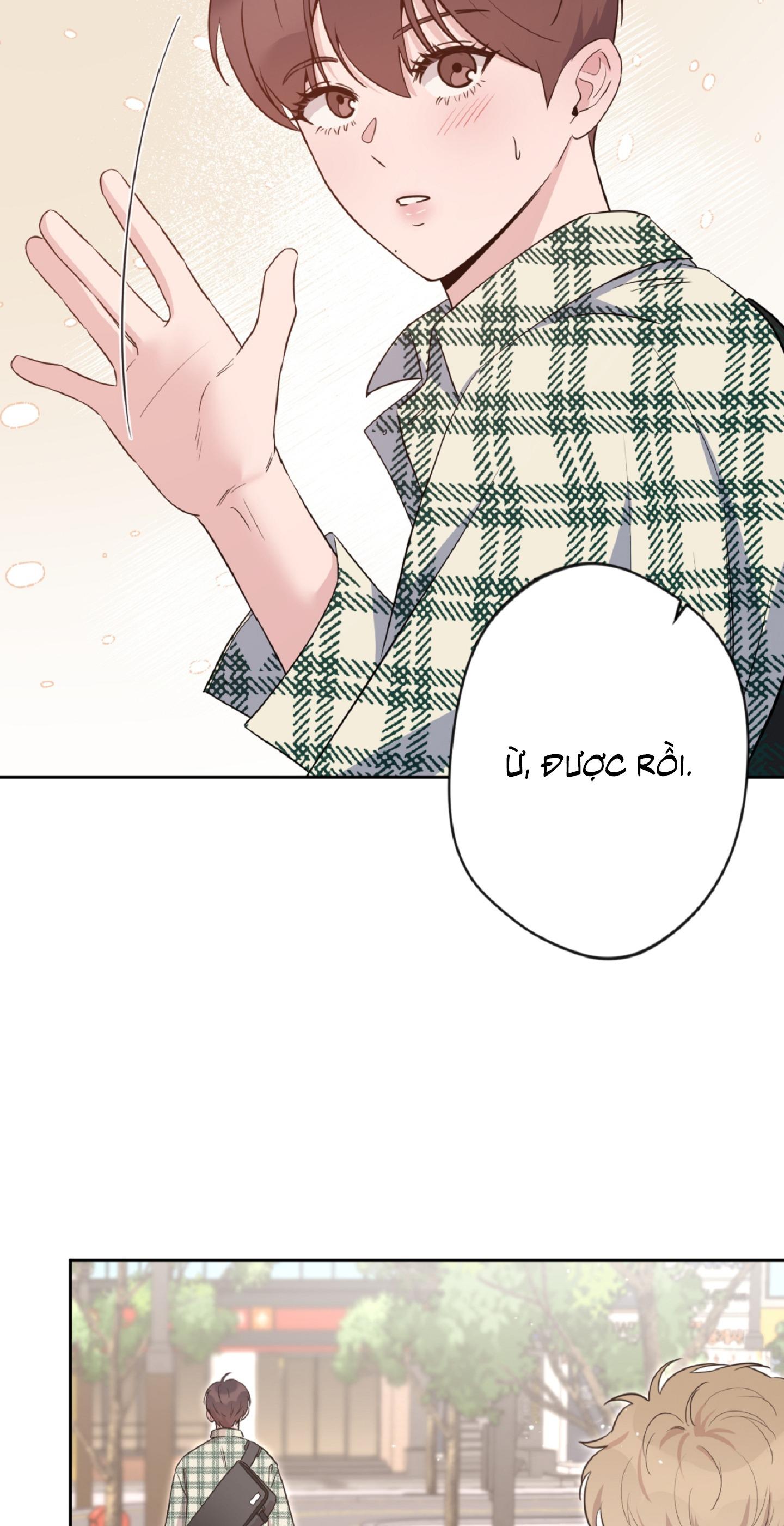 Angel kiss Chapter 20 - Next 