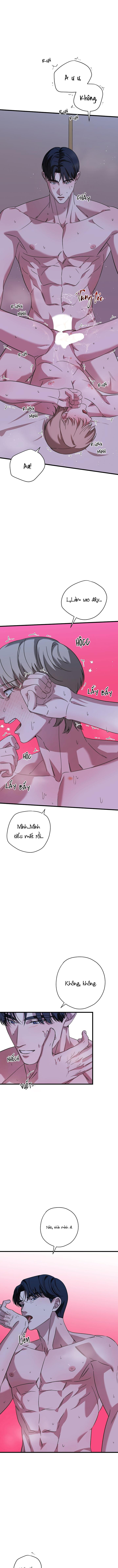 HỢP ĐỒNG KẸO Chapter 26 - Next 