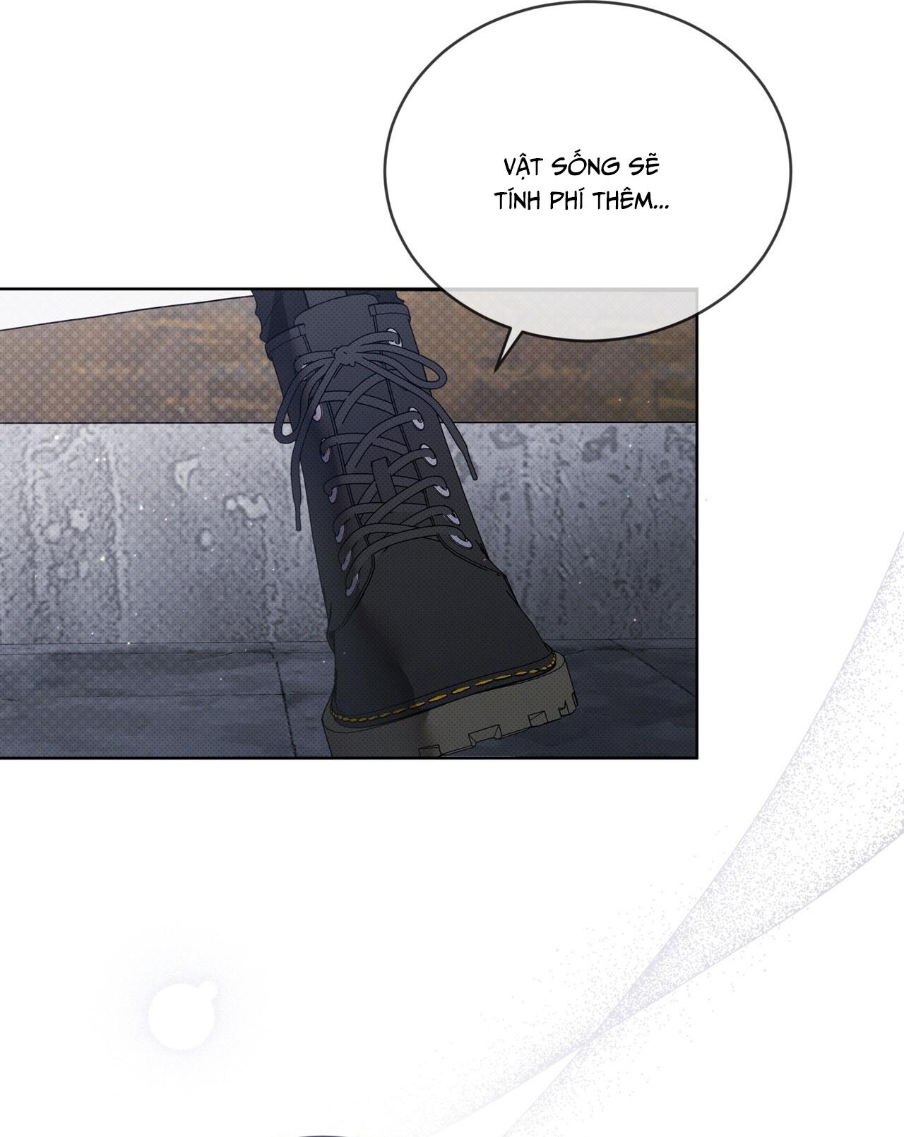 HÌNH THÁI TIẾN HÓA Chapter 2 - Trang 2