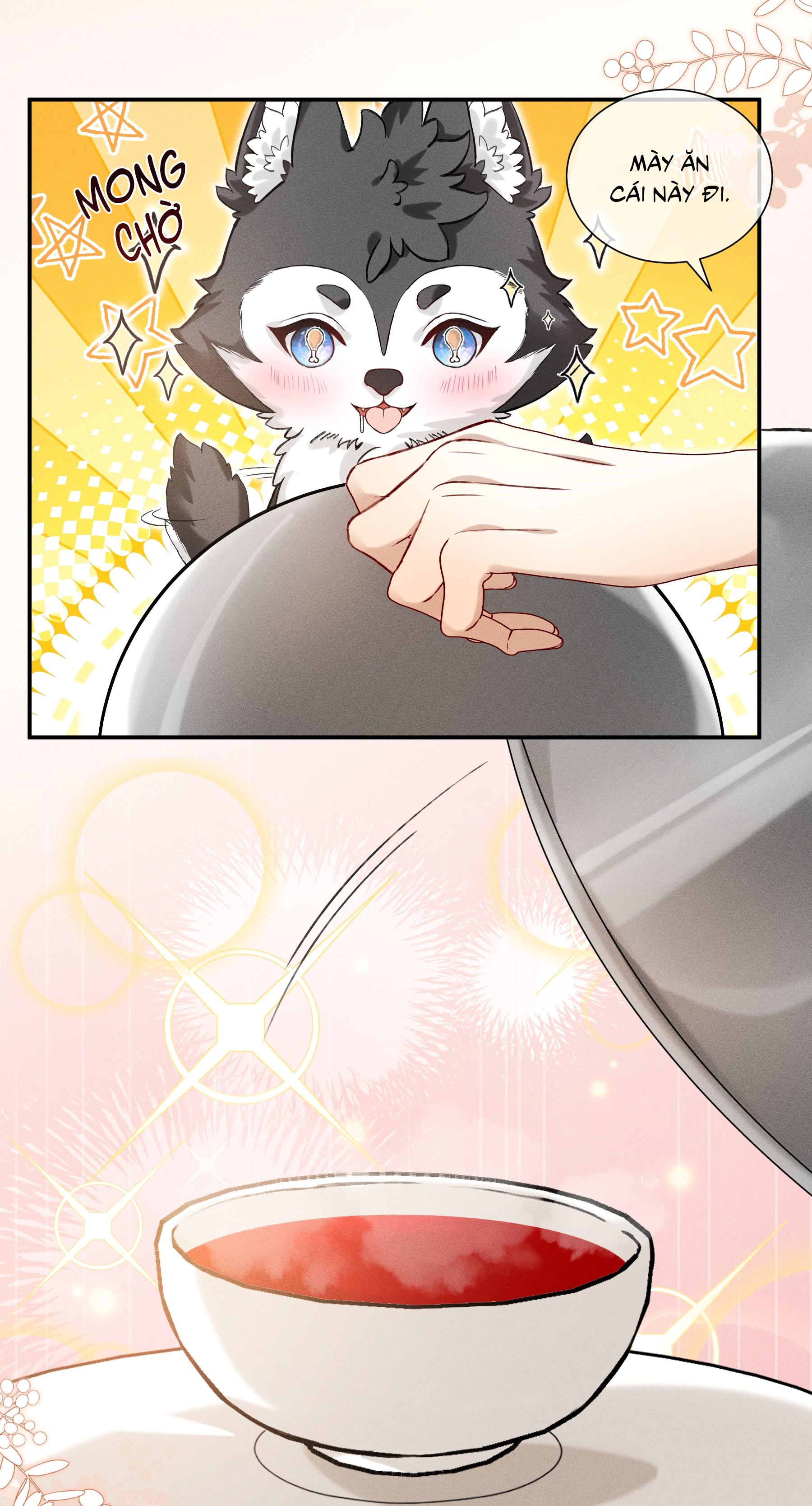 NHẬN GIẶC LÀM CHA Chapter 3 - Next Chapter 4