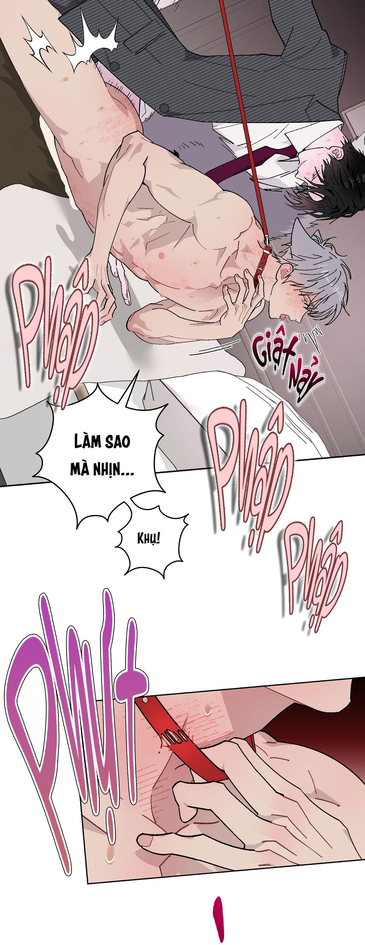 GUIDE ESPER NGẮN Chapter 4.7 esperđịnhmệnhnt - Next Chapter 4.8 esperđịnhmệnhnt