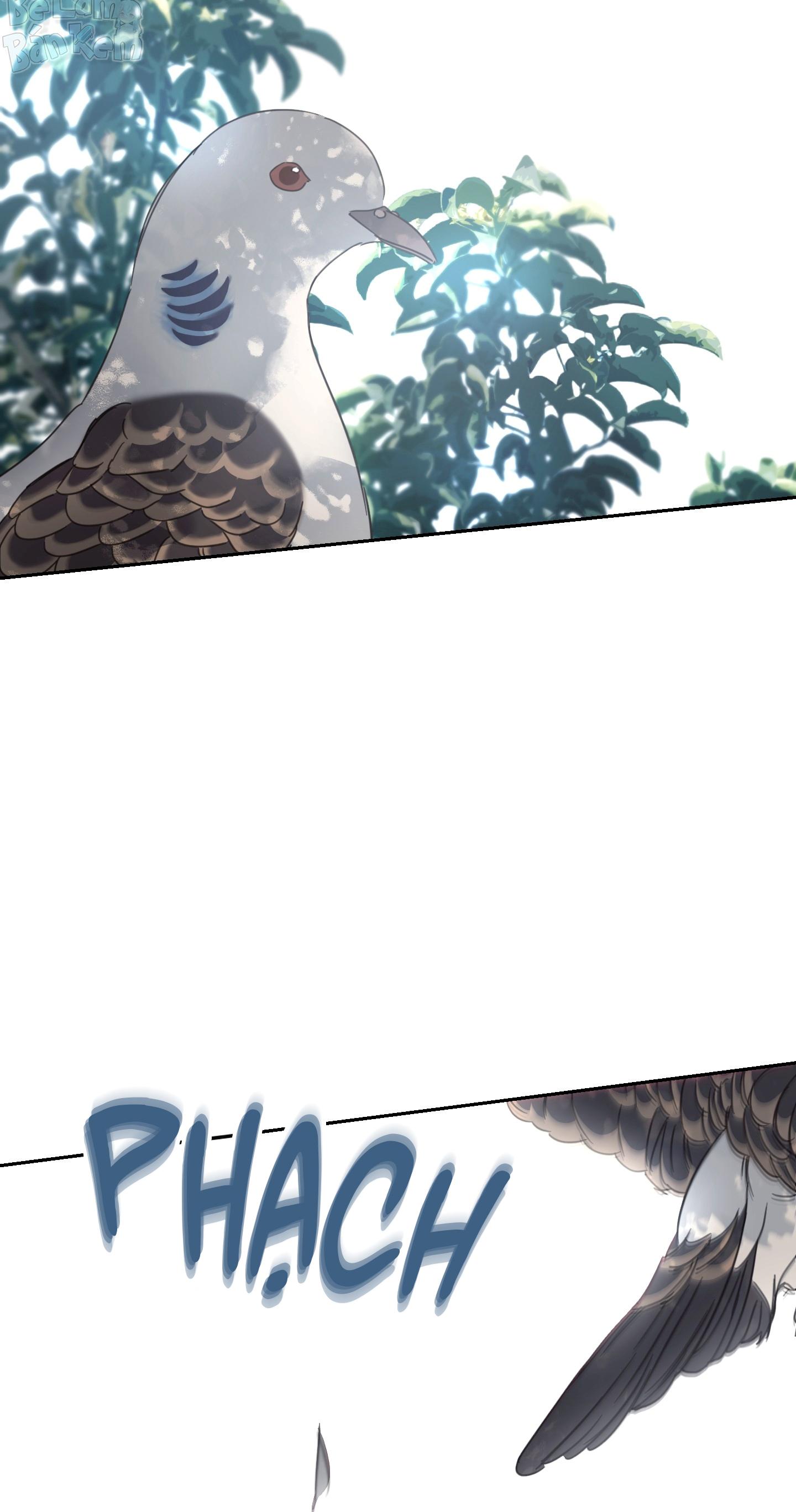 NGÔI NHÀ HƯỚNG MẶT TRỜI MỌC Chapter 59 - Next Chapter 60