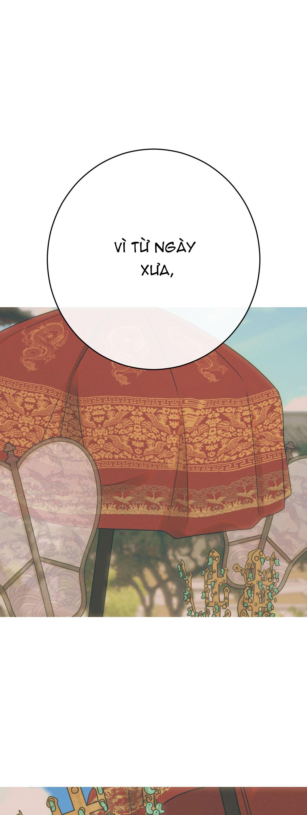 QUẺ BÓI GIẤC MƠ CỦA YÊU TINH Chapter 61 - Next Chapter 62