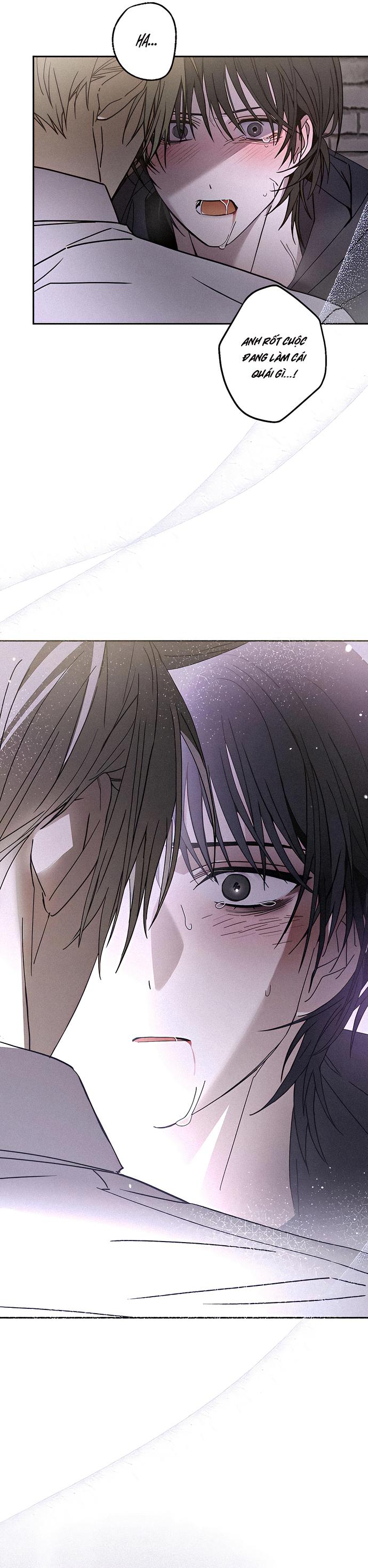 Chứng Nhận Quan Hệ Gia Đình Chapter 2 - Trang 2