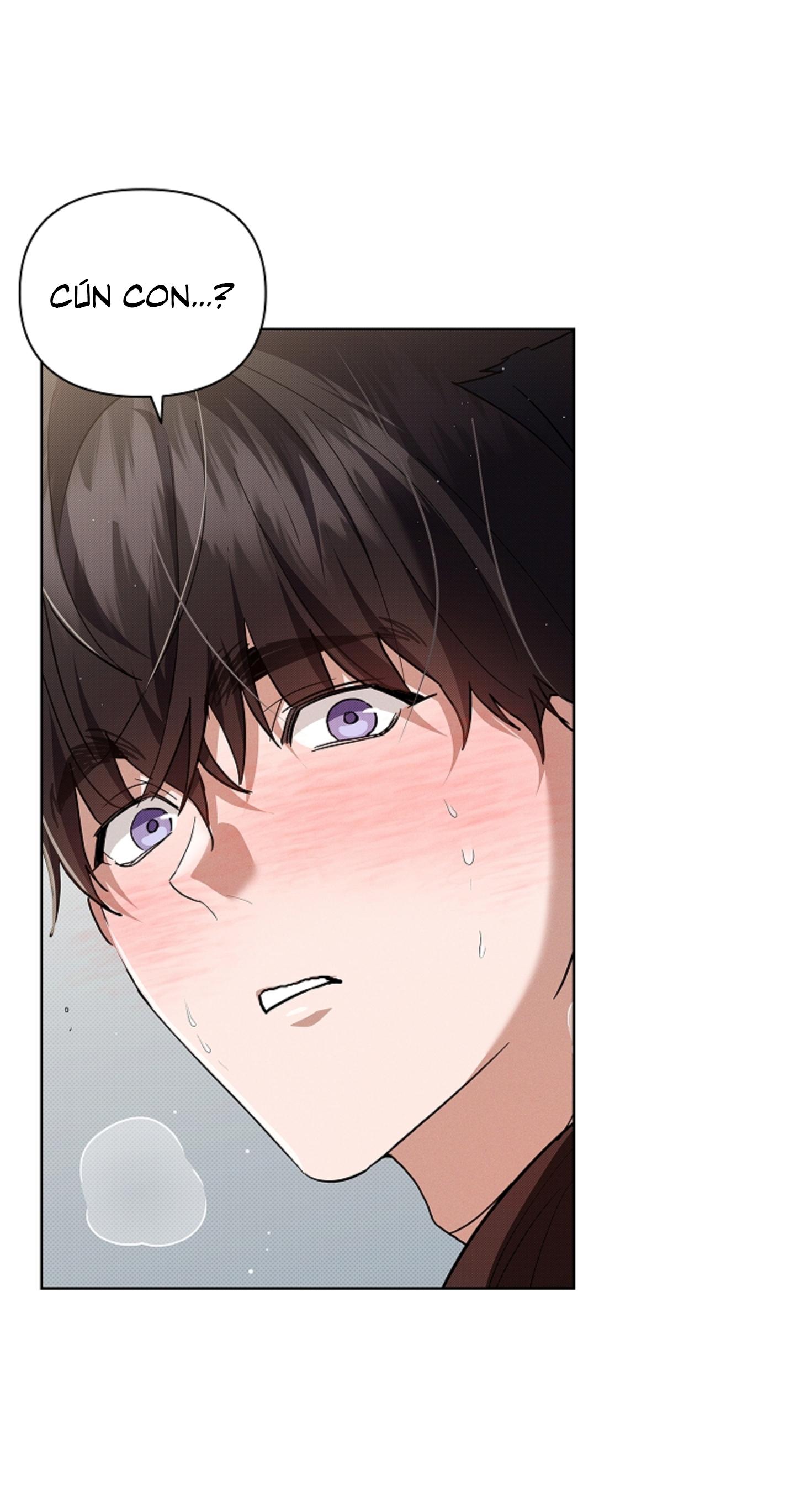 ĐỪNG ĐỘNG VÀO CÚN CON! Chapter 44 - Next 