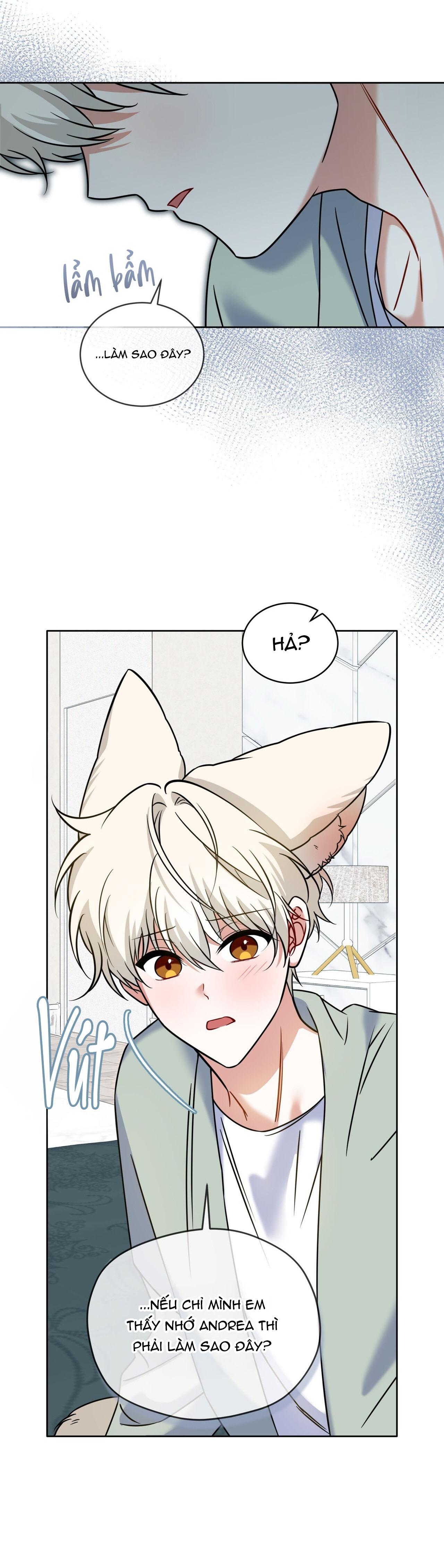 NƯỚC UỐNG TÌNH YÊU CỦA CÁO PLIN Chapter 47 - Next Chapter 48