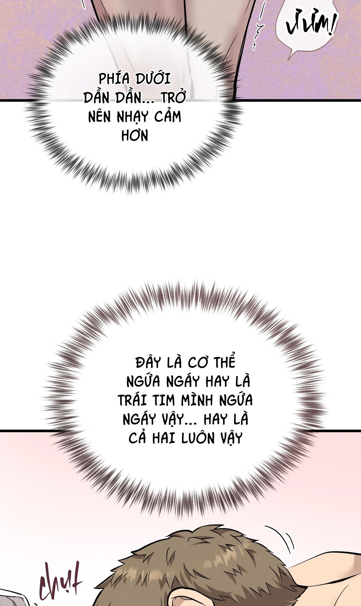 HONEY BEAR Chapter 73 - Next Chapter 74