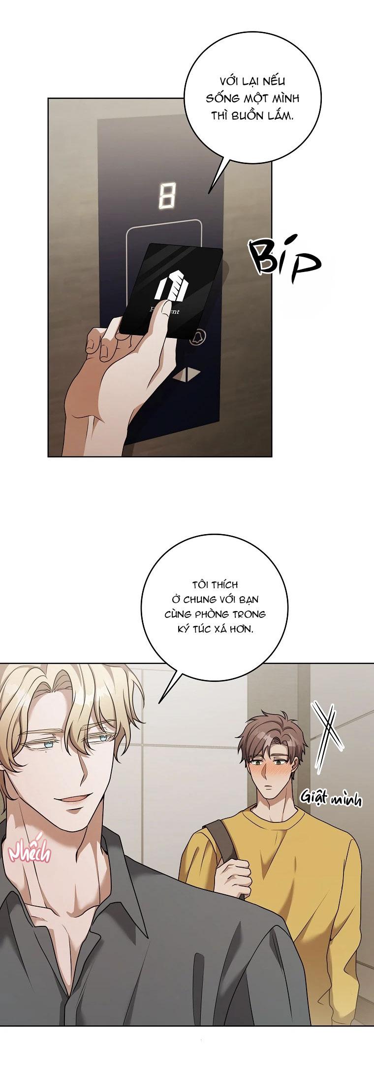 THẾ CHẤP LỖ ĐÍT Chapter 5 - Trang 2