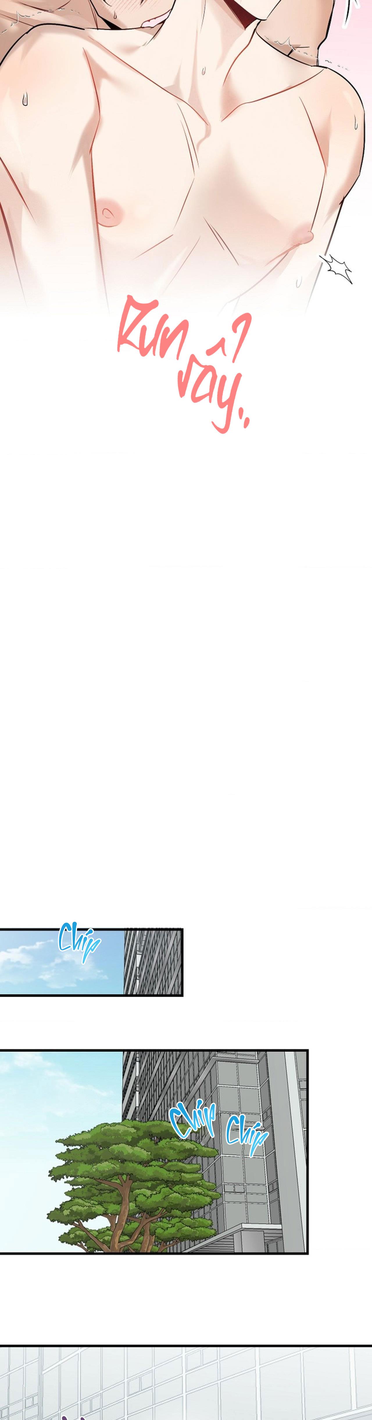 Xin Sếp Phê Duyệt Tối nay Chapter 12 - Next Chapter 13