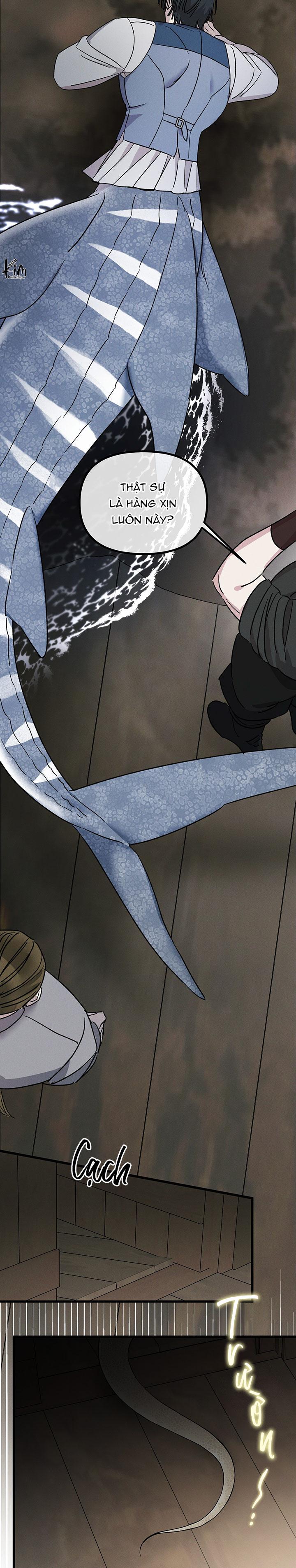 Mermaid's Cradle Chapter 10 - Next Chapter 11