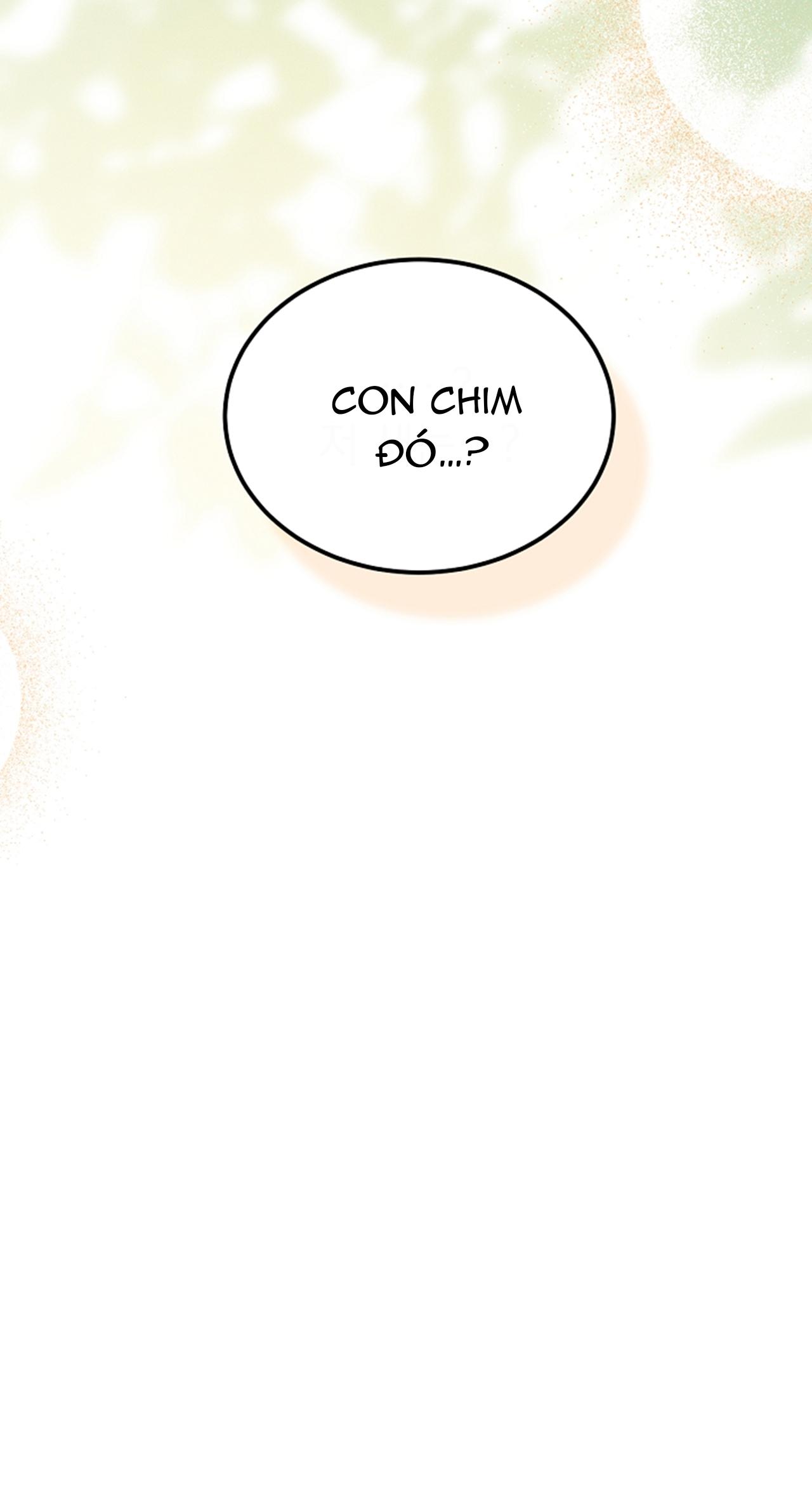 Này, Đừng Có Nhấn Cái Nút Đó! Chapter 50 - Next 
