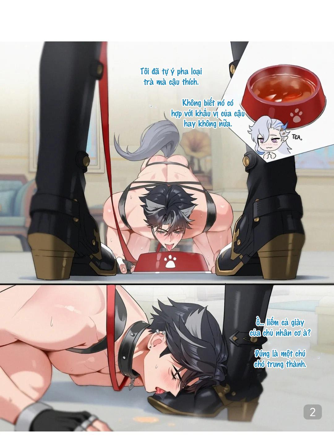 Ổ sìn OTP Chapter 231 NeuWrio - Next Chapter 232 RiYu