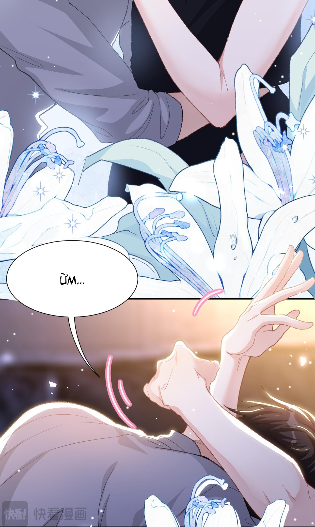 Quan hệ thế thân Chapter 215 - Next Chapter 216
