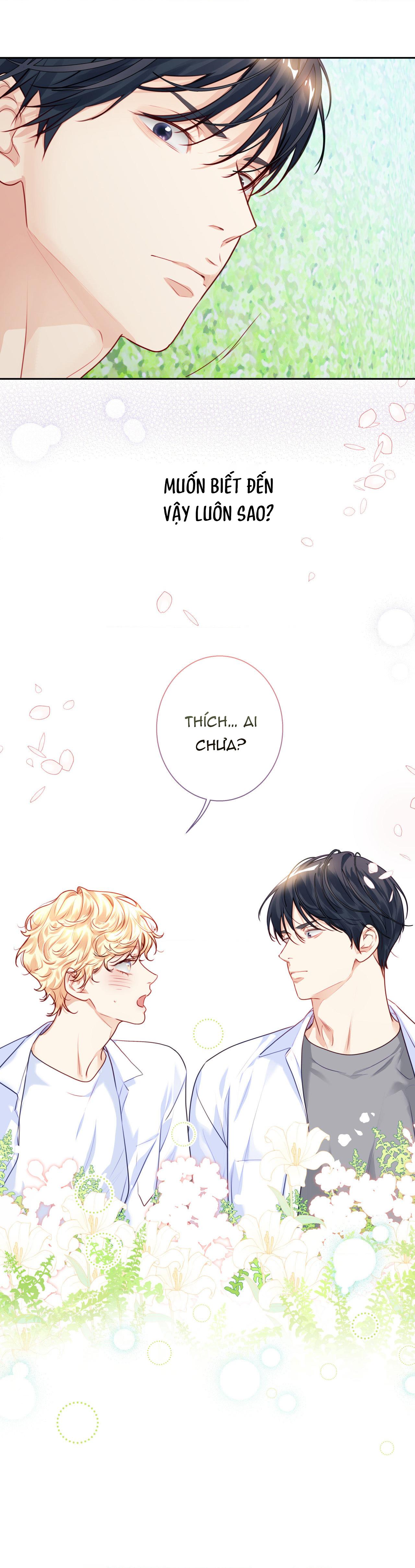 Love is an illusion! Superstar Chapter 19 - Next 