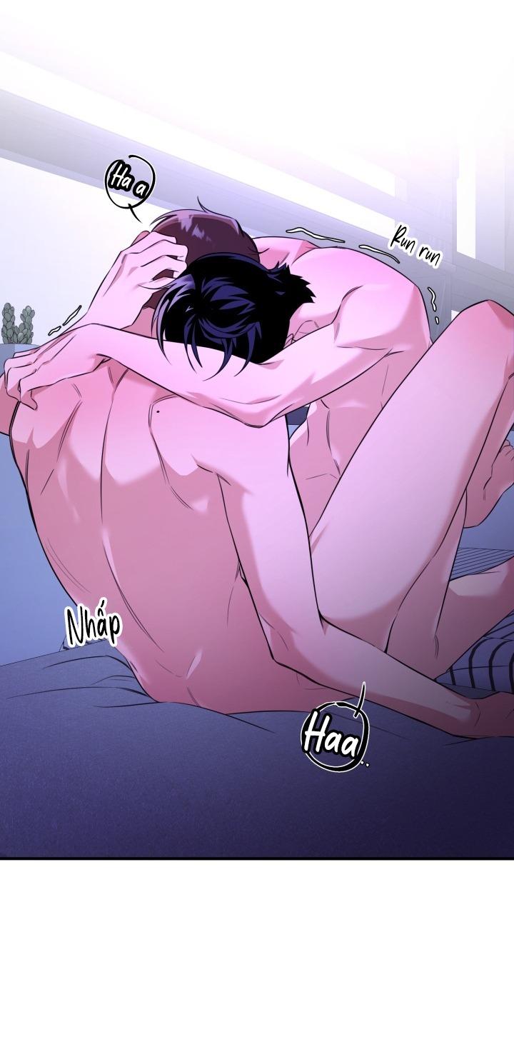 Đến gặp Idol nào! Chapter 12 - Next 